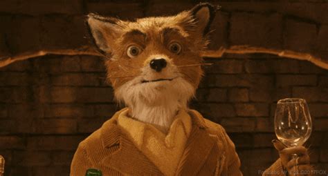 fantastic mr fox gif